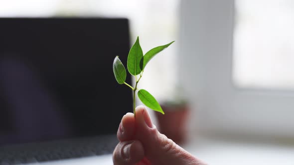 Laptop Keyboard with Plant Growing on It alt