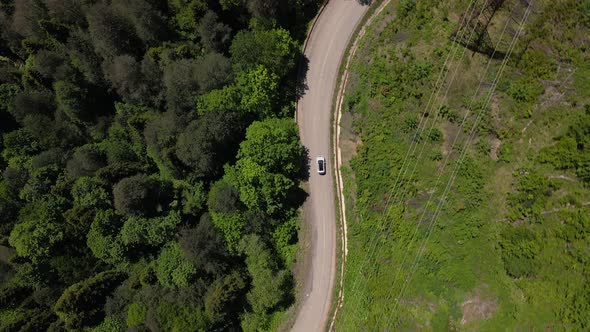 Car Moving Along Country Road Through Green Forest