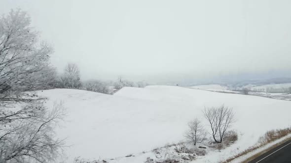 Landscape of a road in a forest covered in the snow and fog under a cloudy sky shot in 4K