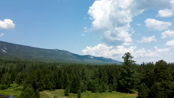 River with woodland against the background of the mountain alt