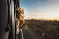 beautiful caucasian young woman travel outside the car with wind in the curly hair - PhotoDune Item for Sale