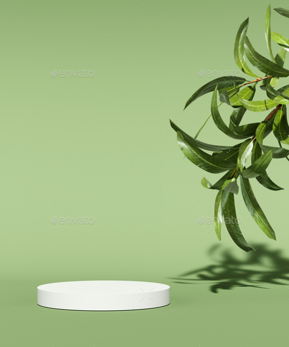 Showcase podium for natural cosmetic product. Empty scene with green leaves  on monochrome background Stock Photo by vladimirzotov