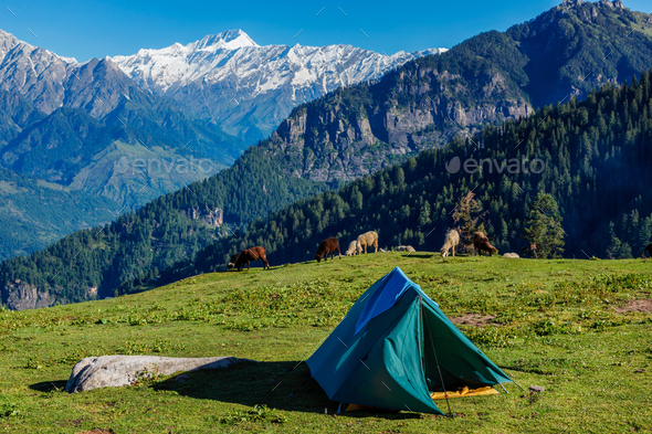 Camp in mountains. Kullu Valley, Himachal Pradesh, India - Stock Photo - Images