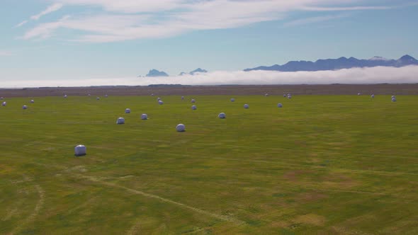 Drone Over Green Field With Covered Hay Bales alt