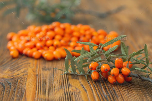 Bunch Of Sea Buckthorn Berries On A Wooden Background In Autumn Stock Photo By Wildmediask