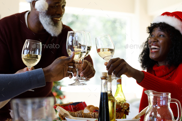 Multi generation african american family holding glasses of wine