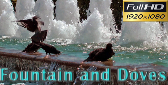 Fountain And Pigeons HD