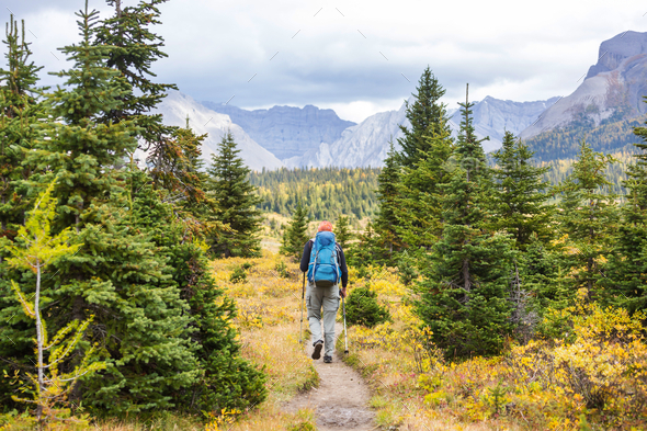 Hike in Canada - Stock Photo - Images