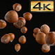 Flying Hazelnuts in Shells - VideoHive Item for Sale
