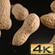 Flying Peanuts in Shells - VideoHive Item for Sale