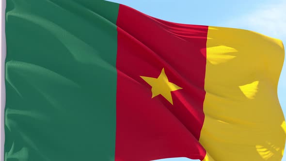 Cameroon Flag Looping Background