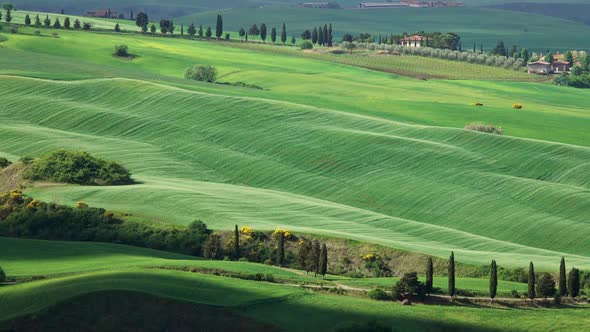 Shadows of Clouds Slide on Hills of Tuscany, Italy alt