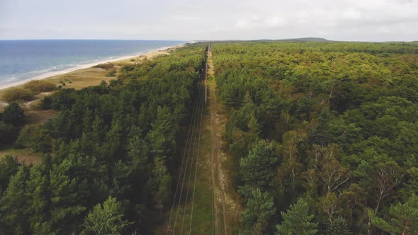 AERIAL: Flying Near Woodland Path Above Electricity Lines on a Cloudy Day alt