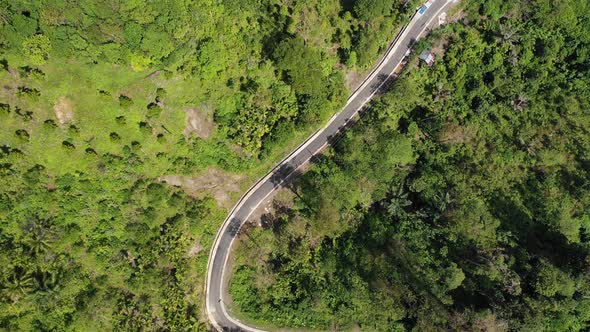 AH - Village Road With Trees (5)