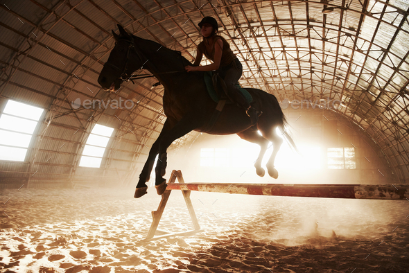 Majestic image of horse horse silhouette with rider on sunset background. The girl jockey on the
