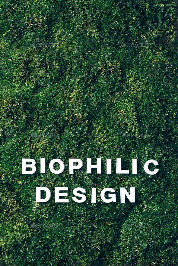 Natural green moss background. Top view. Copy space. Biophilic design.  Organic, wild nature concept Stock Photo by jchizhe