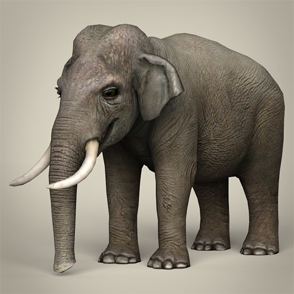Low Poly Elephant - 3Docean 29338890
