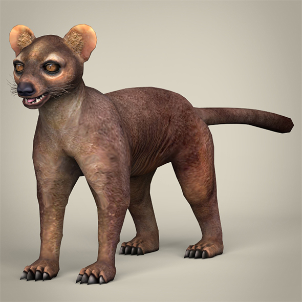 Low Poly Fossa - 3Docean 29338922