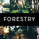 20 Forestry Lightroom Presets & LUTs
