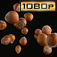 Flying Hazelnuts in Shells - VideoHive Item for Sale