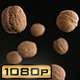 Flying Walnuts in Shells - VideoHive Item for Sale