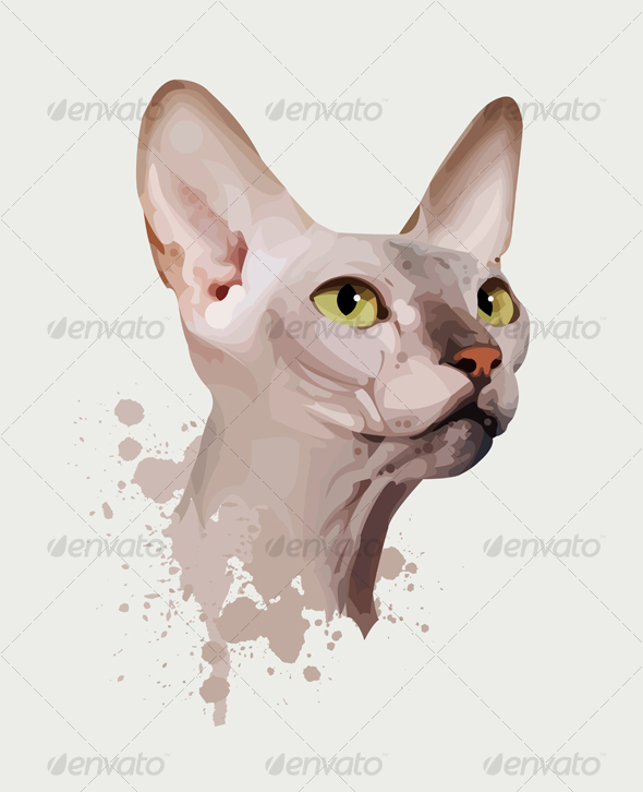 Portrait of a Cat on an White Background - Animals Characters