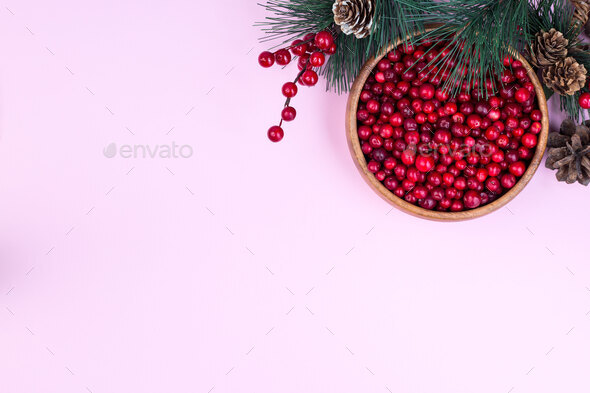 Pine branch with cones and bowl of fresh cranberry - Stock Photo - Images