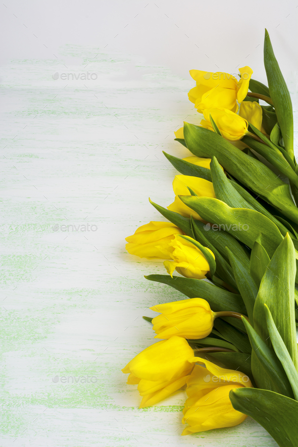 Yellow tulips on light green background Stock Photo by TasiPas | PhotoDune