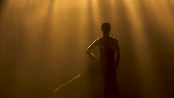 Silhouette a Graceful Ballerina Dancer Performing Dancing Elements of Classical Ballet in Black alt