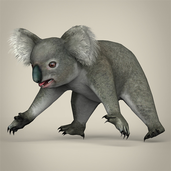 Low Poly Koala - 3Docean 29360215