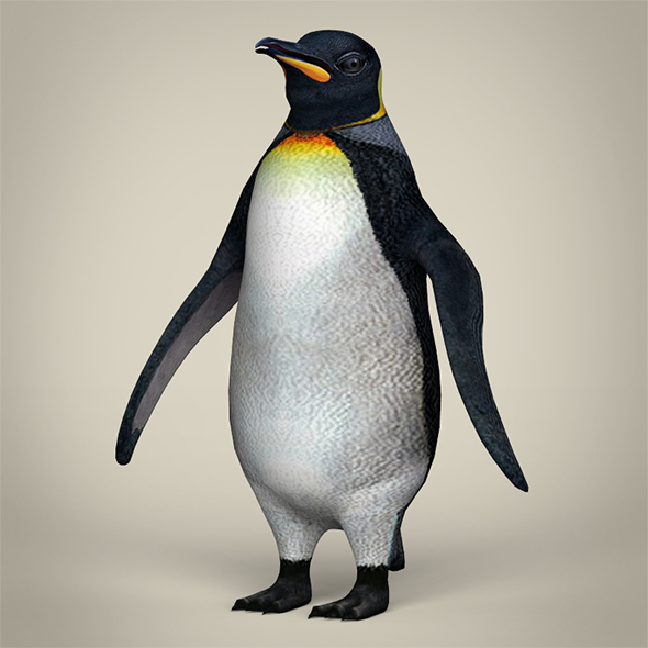 Low Poly Penguin - 3Docean 29360510