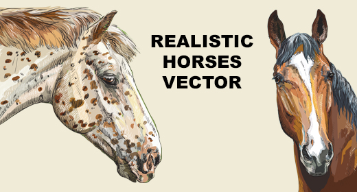Realistic horses illustration vector