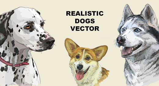 Realistic dogs breeds vector