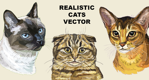 Realistic cats breeds vector