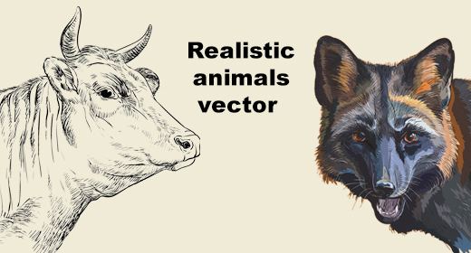 Realistic animal portraits hand drawn