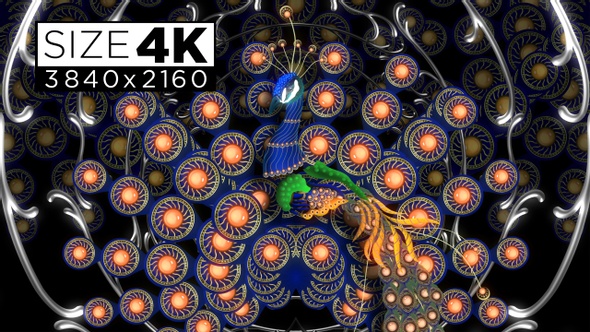 Peacock 4k 01