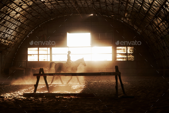 Majestic image of horse horse silhouette with rider on sunset background. The girl jockey