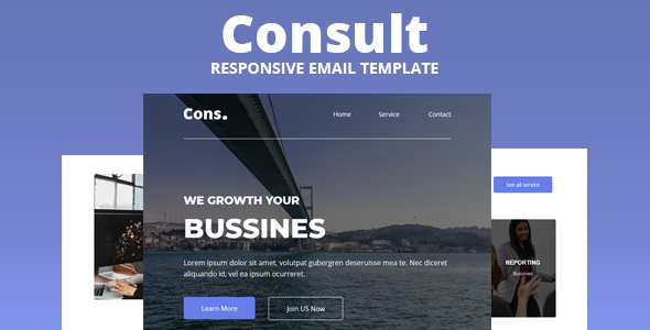 Consult - Responsive Email Template