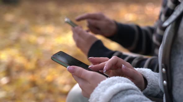 Young Male and Woman Use Phone in the Autumn Park Sitting on a Bench