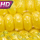 Slender Rows Of Corn Grains - VideoHive Item for Sale