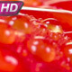 Fresh Tomatoes For Restaurant - VideoHive Item for Sale