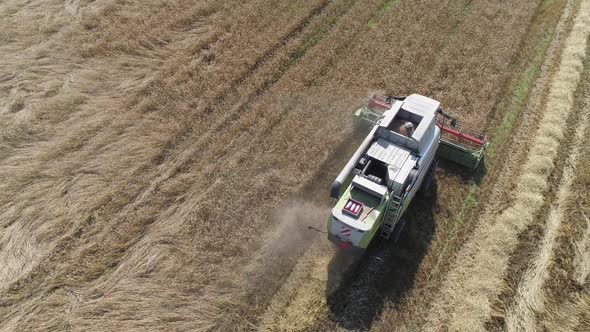 Countryside and Agriculture Flight Over the Field View From Height Combine Harvester Removes Oats alt