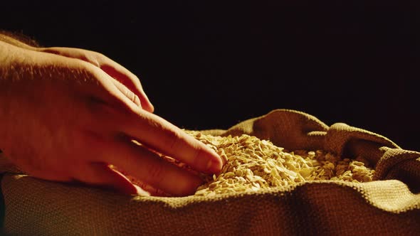 Grocery Cornflakes on Black Background Closeup alt