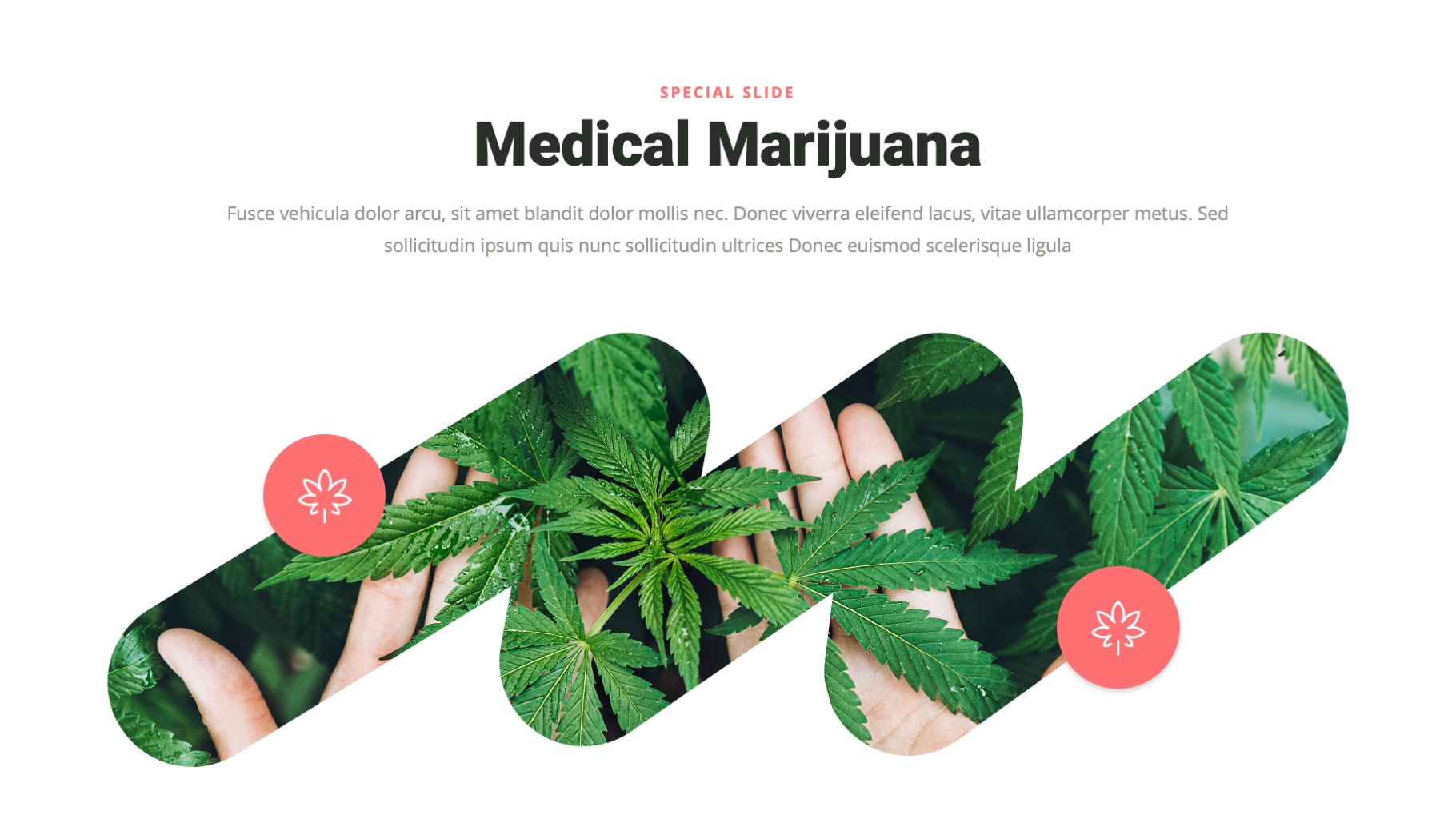 Green Casiva - Medical Marijuana & Cannabis Powerpoint Template ...