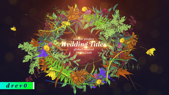 Wedding Titles Hand - VideoHive 29432563
