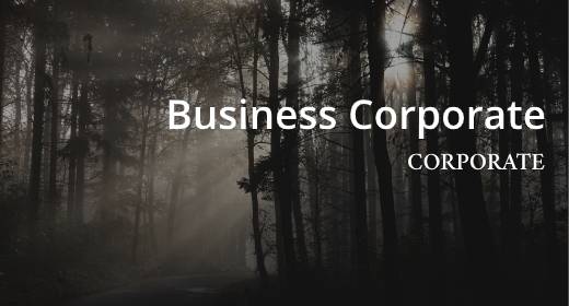 Business Corporate