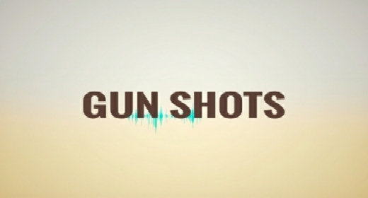 Gun Shots