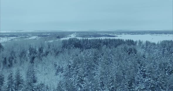 Drone Flies Over Agricultural Expanses Snowcovered Forests and Fields alt
