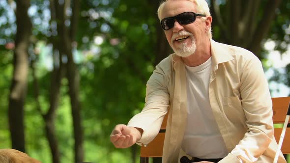 Mature Blind Man Feeding Dog From Hand Resting on Bench in Park, Friendship alt