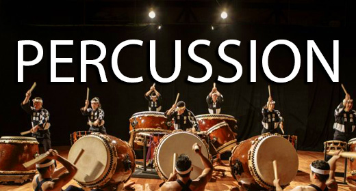 Style - Percussion Drums